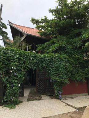 Casa das trilhas naturais - Cantinho do Zimbros